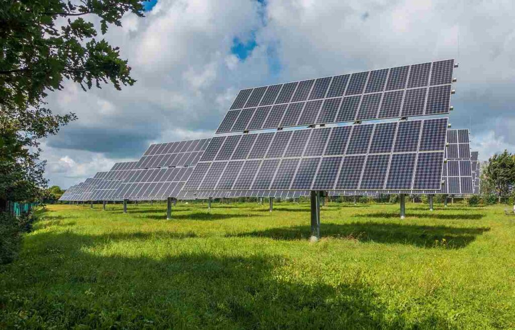 Paneles solares instalados en un campo verde como parte de un proyecto de energía renovable